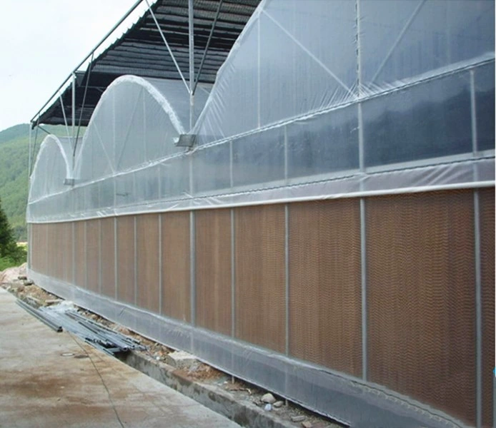 Greenhouse Wet Wall Water Curtain Evaporative Pad Fan Cooling System