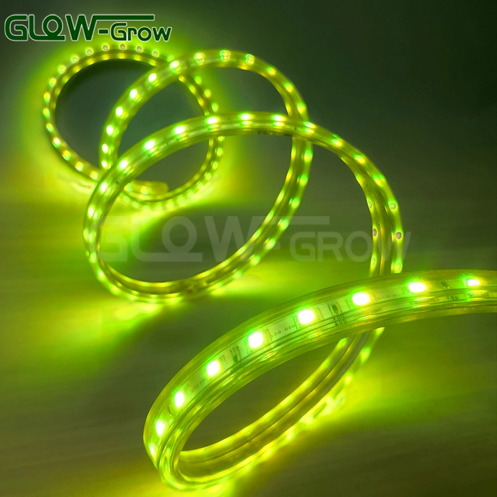 CE RoHS Factory Price High Voltage 110V 220V 230V SMD5050 IP65 Waterproof LED Strip Light for Party Christmas Halloween Festival Decoration