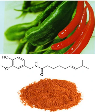100% Natural Red Pepper Extract Capsaicin