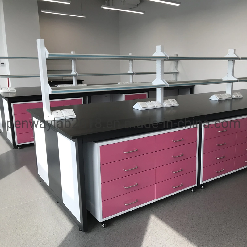 All Steel Painted Chemical Resistant Work Station Cabinets Lab Table