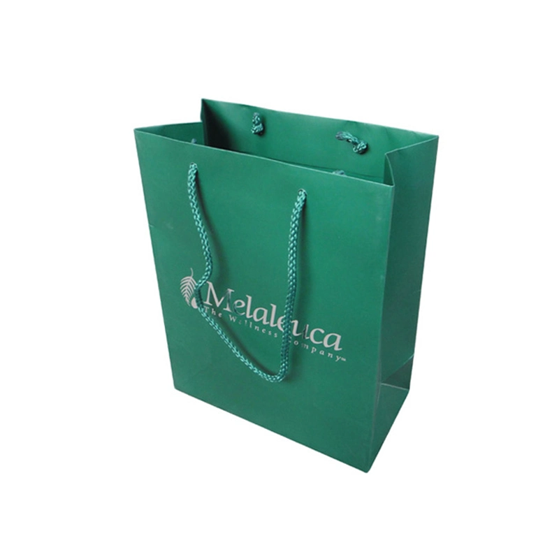 E OEM Decorative Coloured Personalised Goody Paper Bag with Your Own Logo