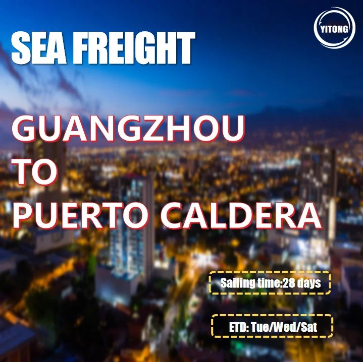 Shipping Container From Shenzhen to Puerto Caldera Costa Rica