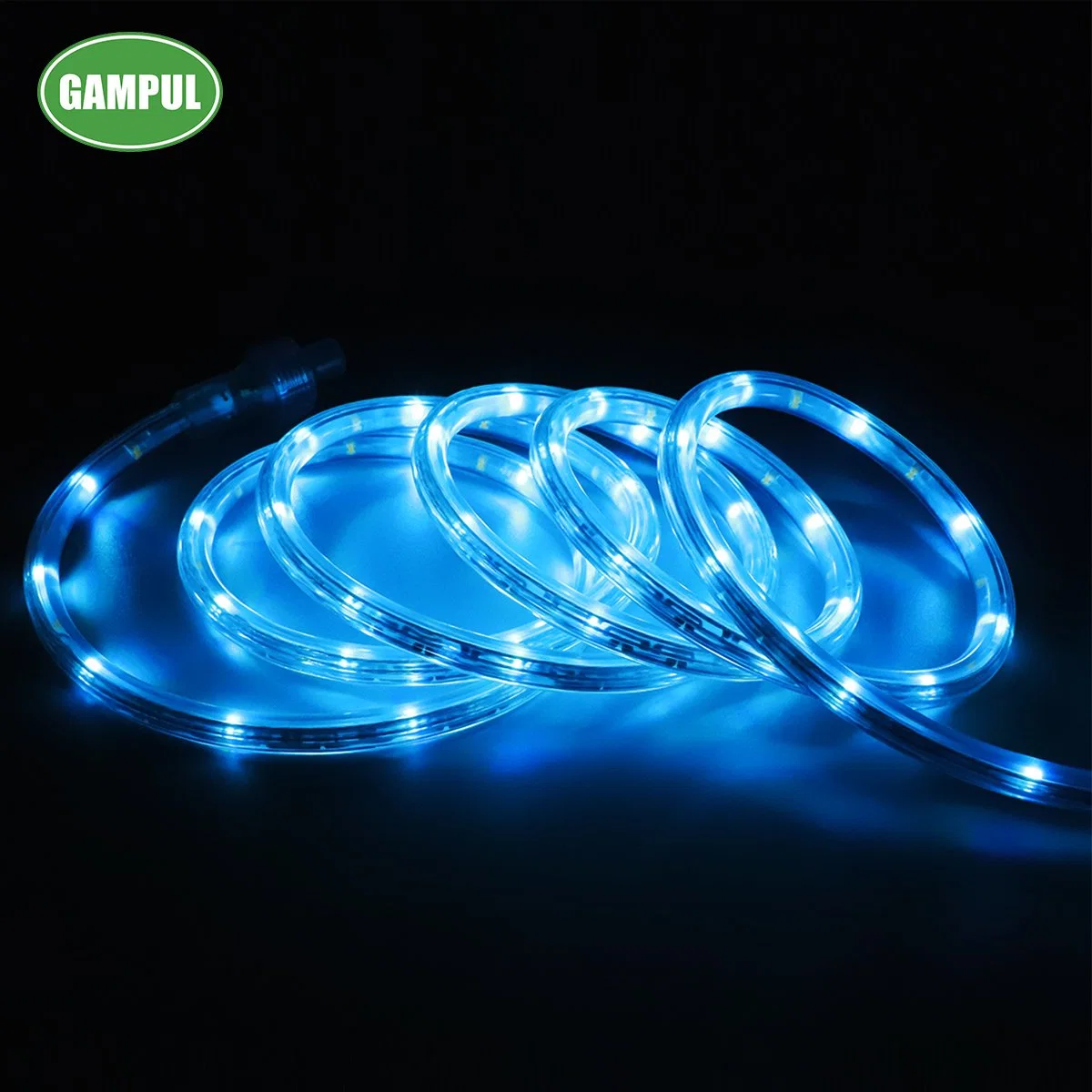 Chinese Supplier 7.3m Outdoor Red/Green/Blue RGB 3528 SMD RGB LED Christmas Outdoor Light / LED Rope Light / LED Decorative Flexible LED Strips Light