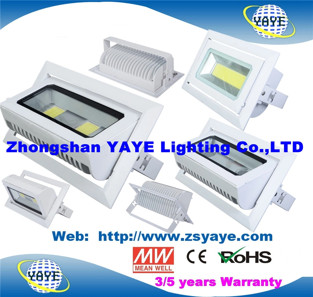 Yaye 18 أفضل جهاز عرض LED طراز COB بقدرة 30 واط معتمد من CE/RoHS Sell / مصباح LED بقوة 30 واط بإضاءة LED /COB بقوة 30 واط بإضاءة LED