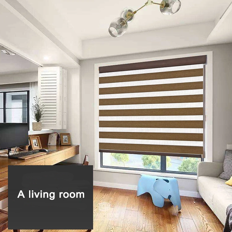 Double Layer Indoor Window Shade Manual Zebra Blinds