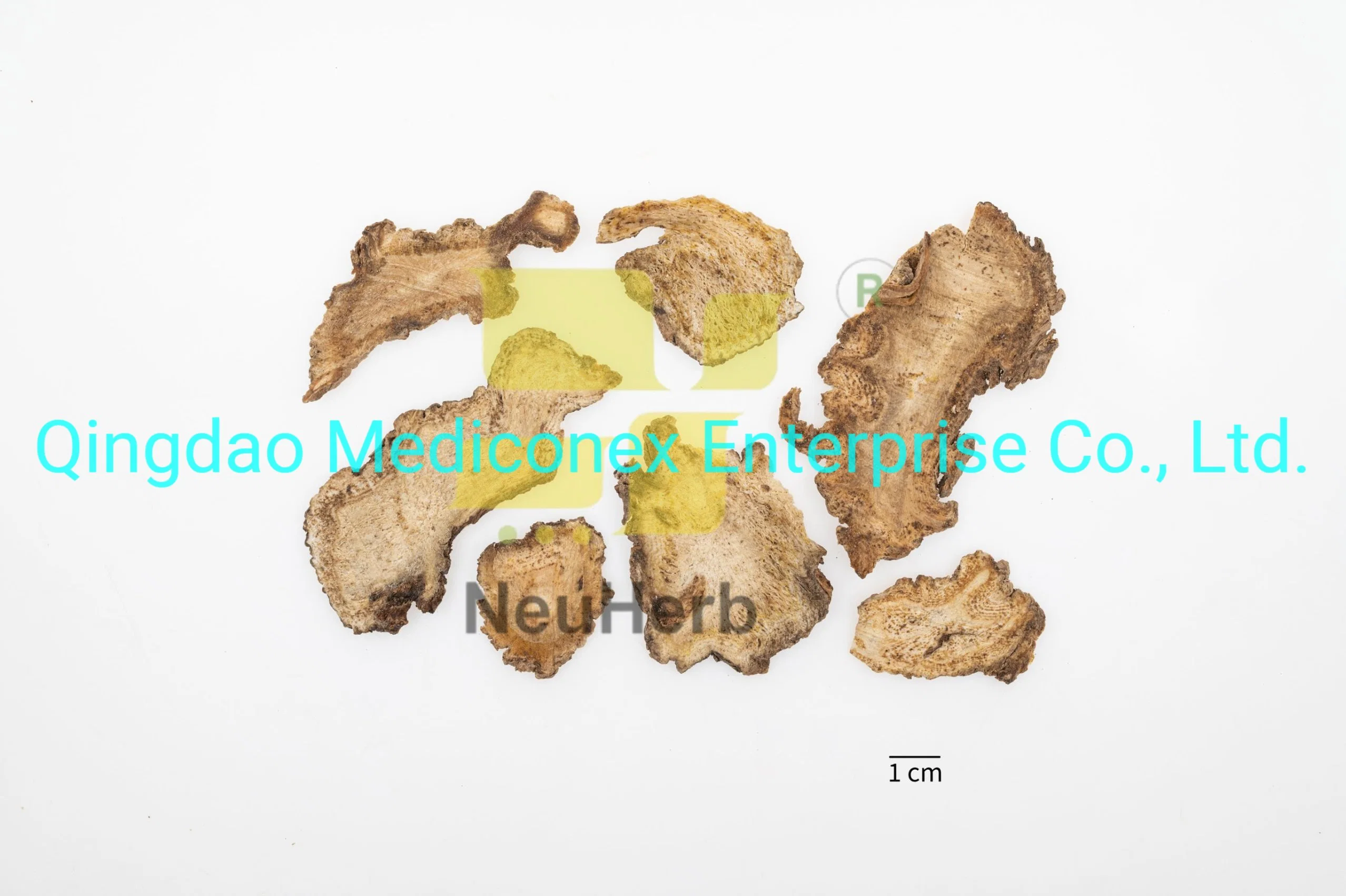 Angelica Pubescens (root) Natural Prepared Chinese Herbal Medicine Crude Herb