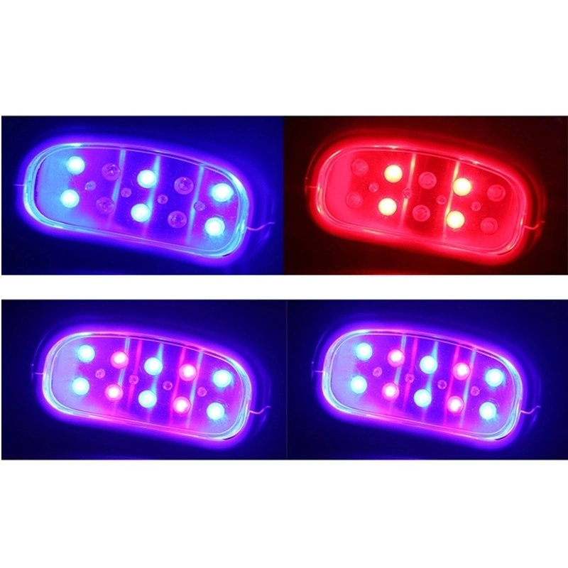 Blaue Lampe LED Zähne Aufhellungslicht Maschine Mundpflege