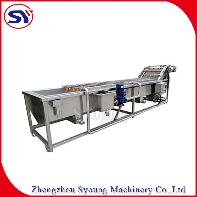 High Pressure Spraying Fruit Water Bubble Washer China Supplier