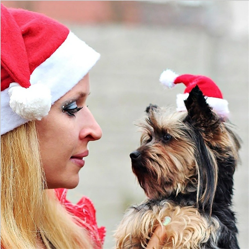 2023 Tiny Style Handmade Plush Knitted Christmas Hat for Dogs