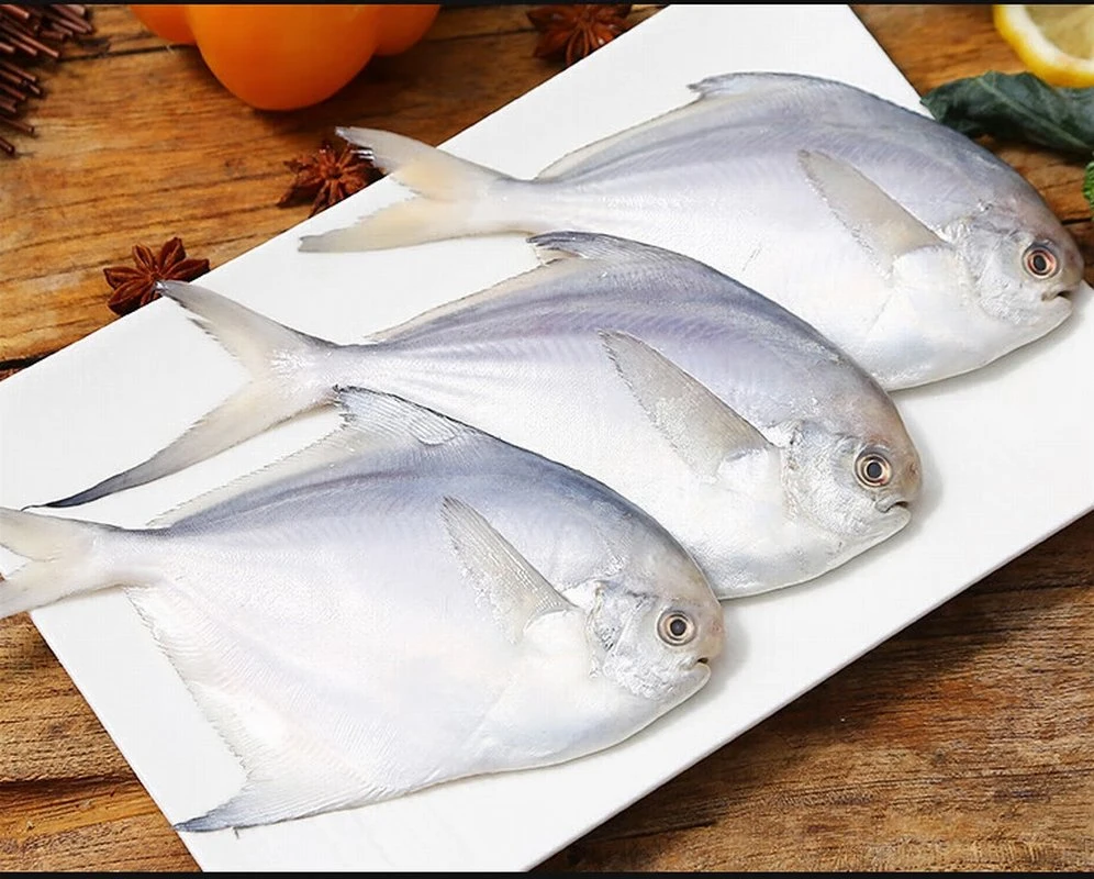 Frozen Silver Pomfret Fish, Whole Round