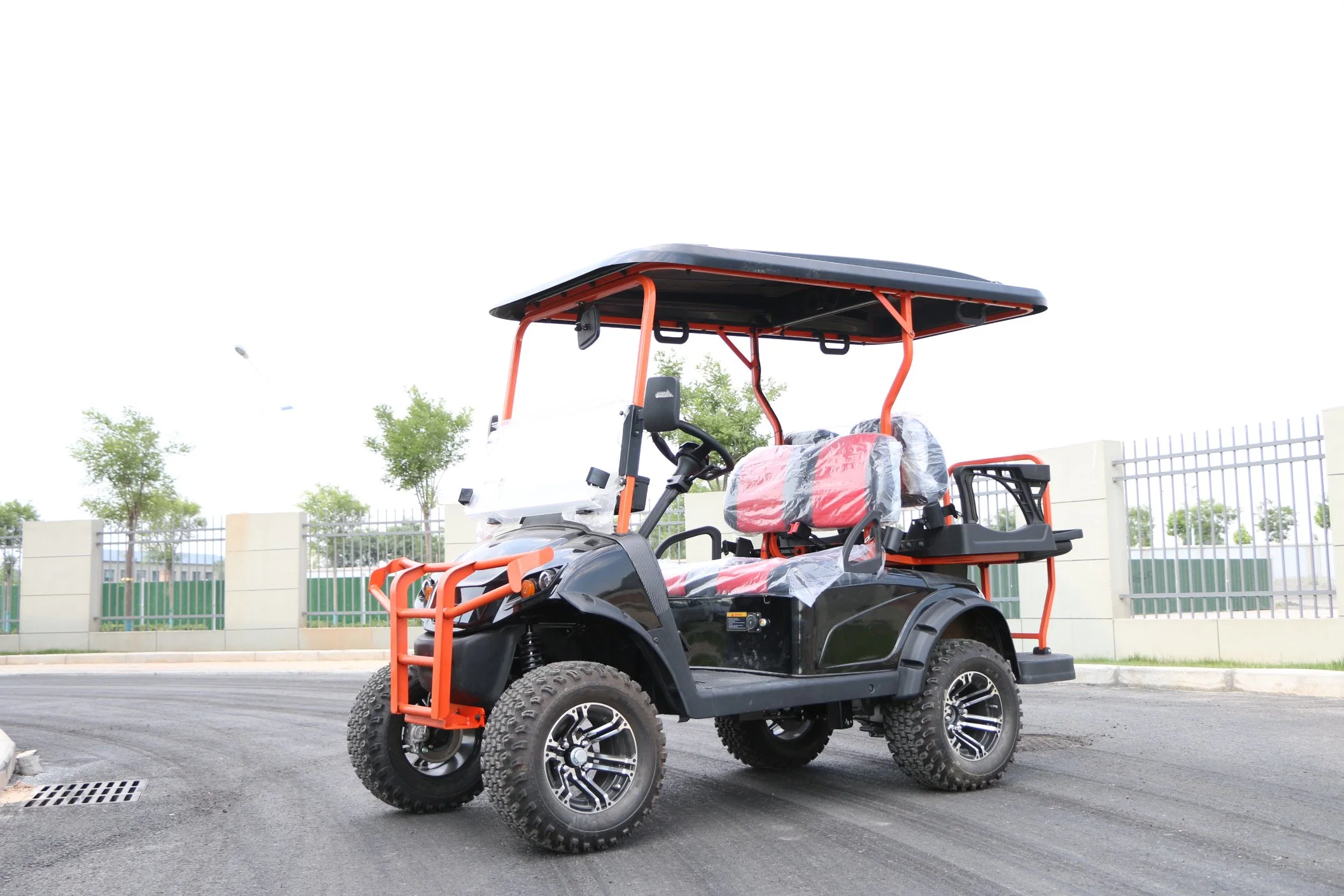 Electric Golf Cart with Lithium Battery Better Than Other Brand