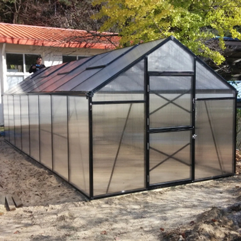 2022 Fashion Design Greenhouse Use with Aluminium and Single Glass