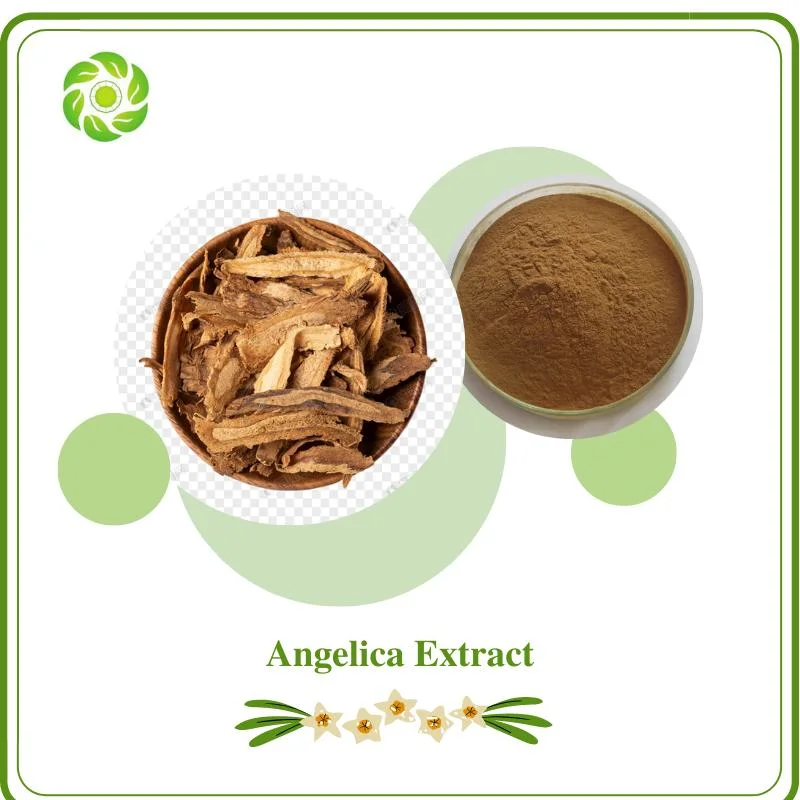 Original Factory Hot Selling Immune Enhancement Artemonolide 0.5%-1% Ferulic Acid 0.5-1% Enhanced Sexual Function Dong Quai Extract Angelica Extract