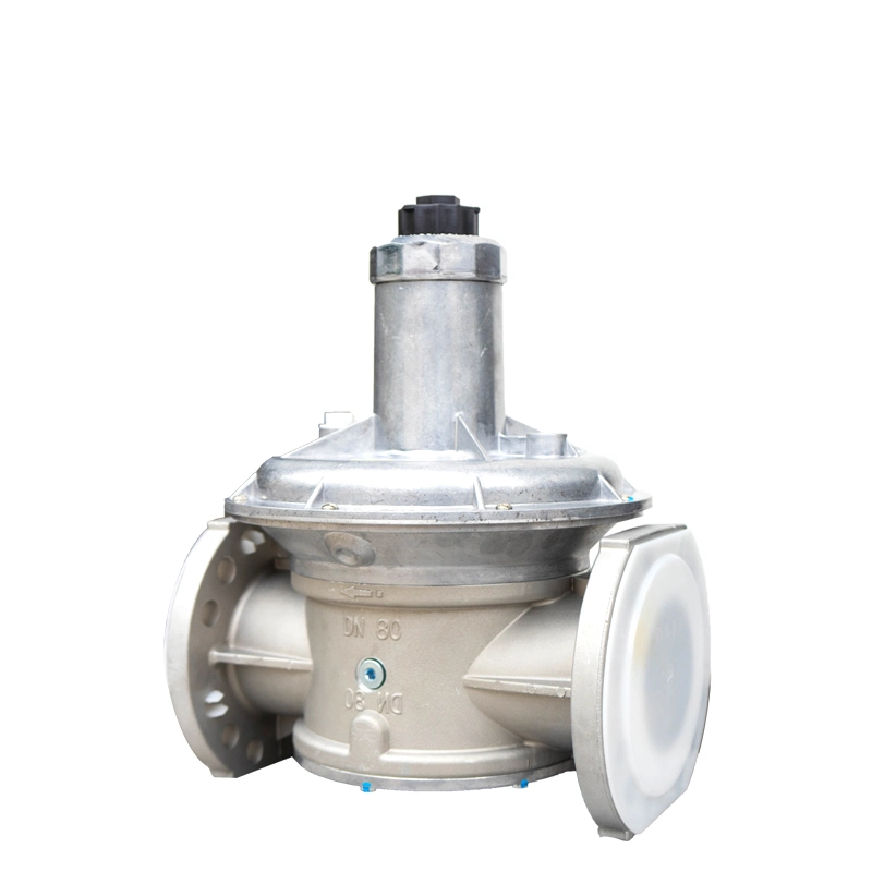 Dungs Gas Pressure Reducing Valve Frs5050 Pressure Regulating Valve