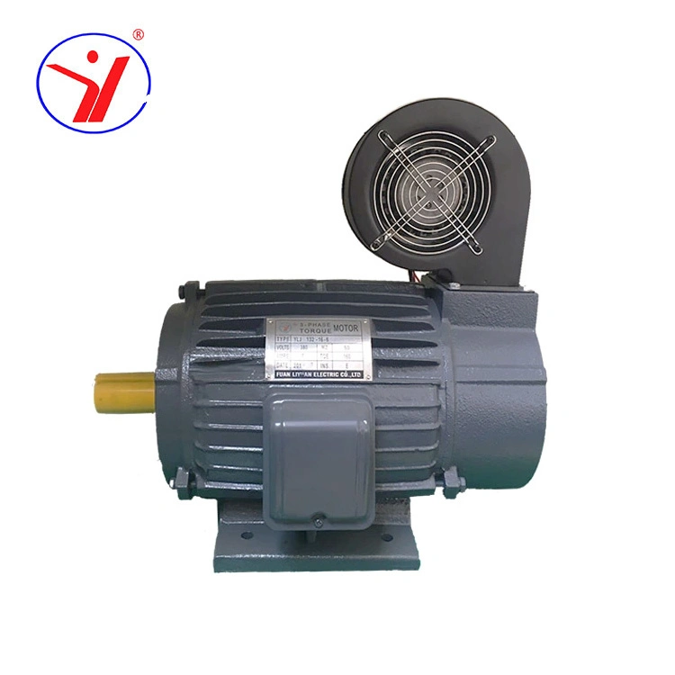 Factory Direct Selling Single AC Motor 220V 50/60Hz Single Phase Motor