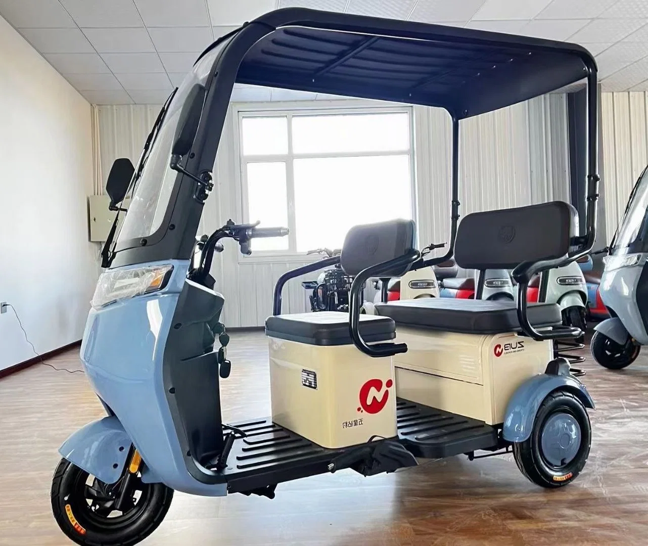 High Standard Electric Trikes Three Wheels Electric Tricycle for Travel/Cargo/Passenger