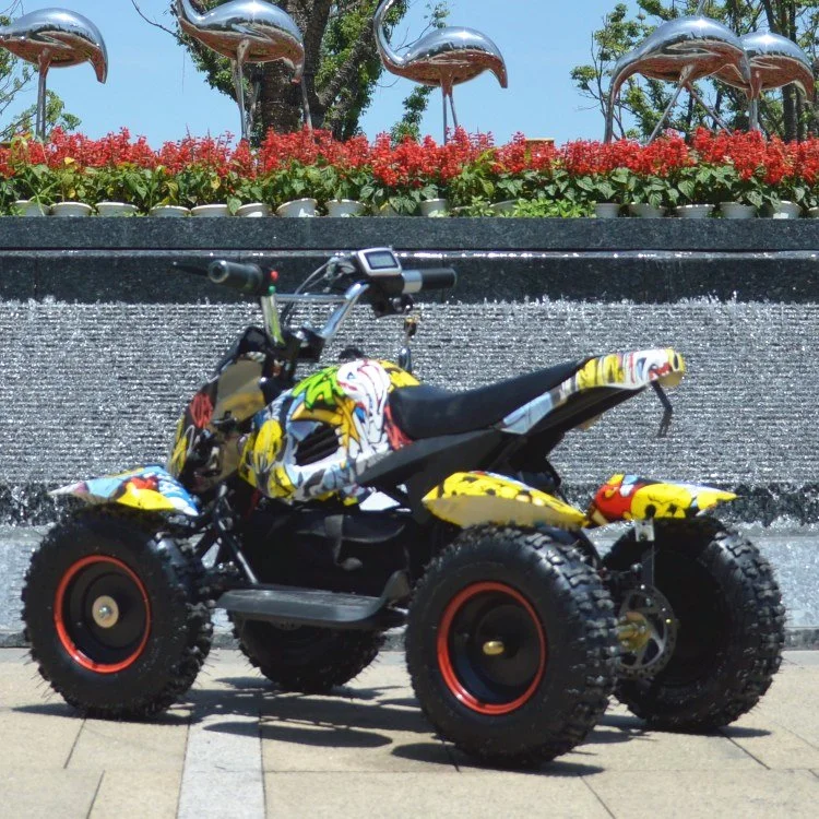 800W Motor Mini Electric ATV Quads (ET-EATV024)