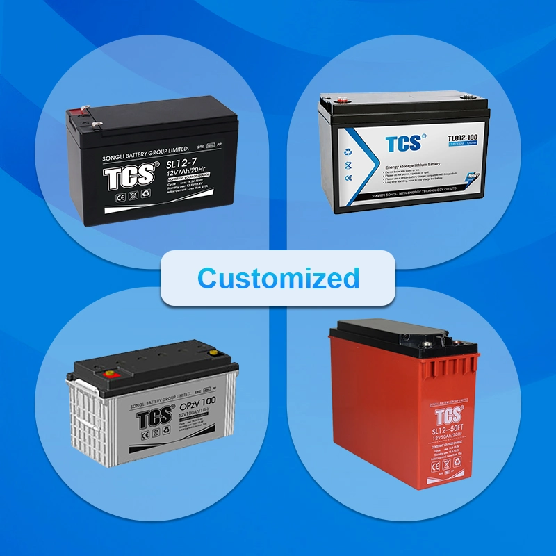 TCS 12 V 17Ah inondé plomb-acide de batterie à cycle profond pour les systèmes d'alarme Sl12-17