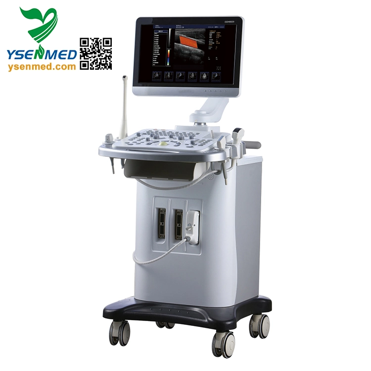 Ysb6000PE Medical Trolley 3D 4D Color Doppler Ultrasound Scanner Medical Equipment