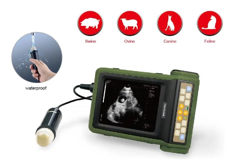 Outdoor Use Digital Ultrasound Scanner for Farm Animals