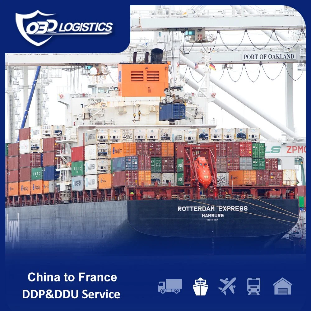 International DDP Shipping Rate China to Italy USA Sea Forwarder Agent China to UK Germany France