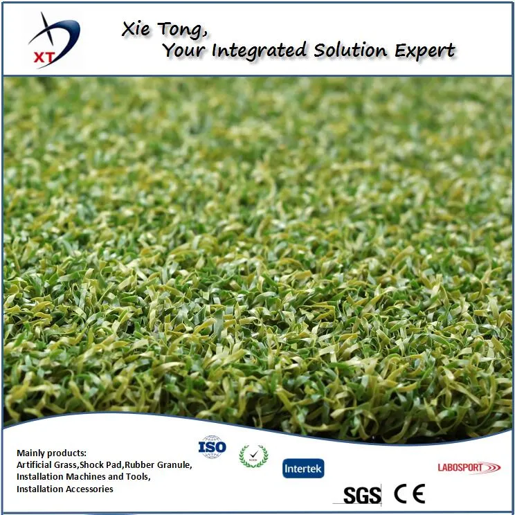 Fitness Gym 12mm 58800st PE Artificial Turf Grass Carpet