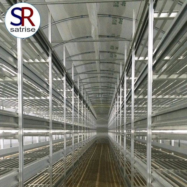 Satrise Button Mushroom Cultivation Shelves