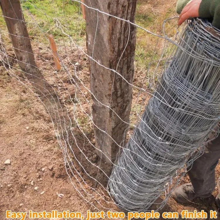 Galvanized Livestock Prevent Hinge Joint Wire Mesh Cattle Farm Field Fixed Knot Fence