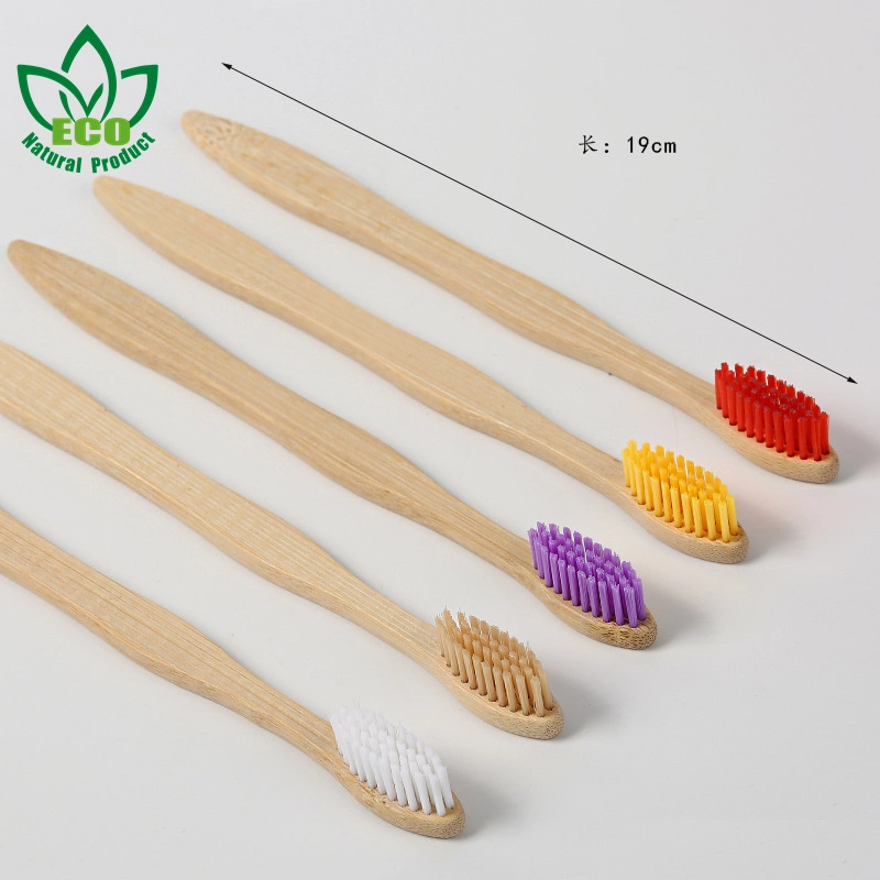 10PCS Colorful Bamboo Toothbrush Set Soft Bristle Bamboo Toothbrushes Dental Oral Care