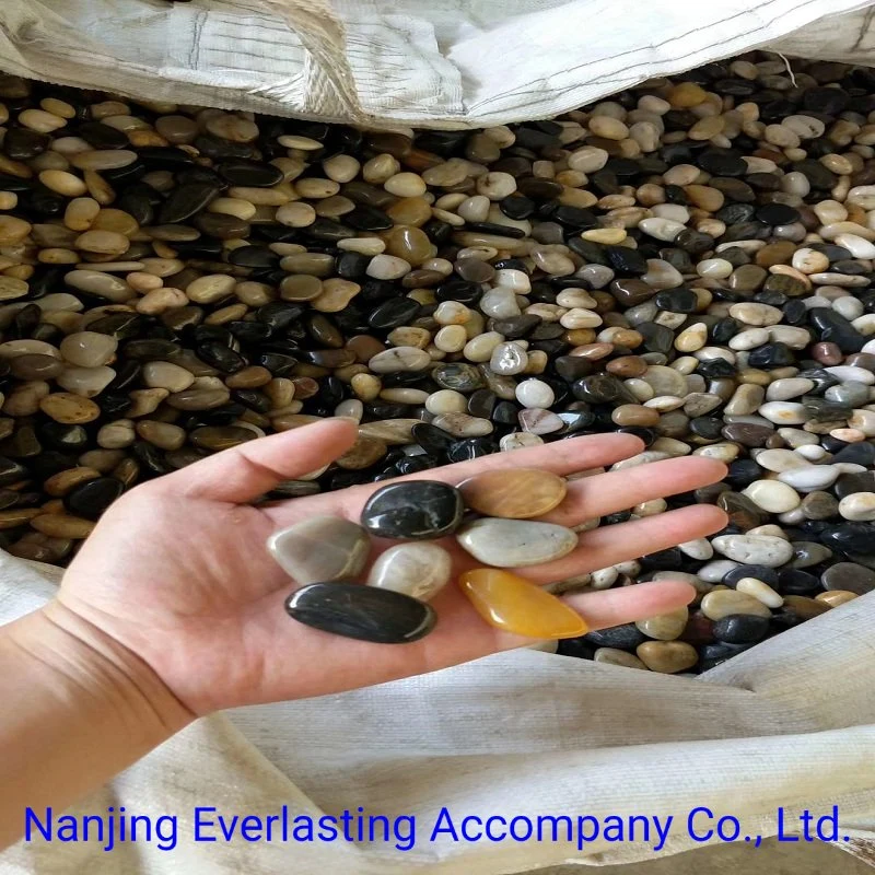 Aquarium Decorative Rocks China Polished Mix Colors River Stone