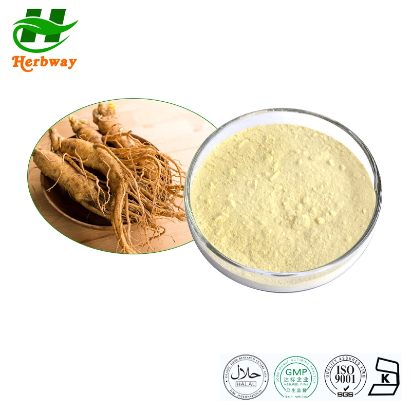 Herbway Plant Extract Improve Immunity Korean Red Ginseng Extract Powder for Health Supplement Ginseng Root Extract 80%Ginsenosides Panax Ginseng Extract