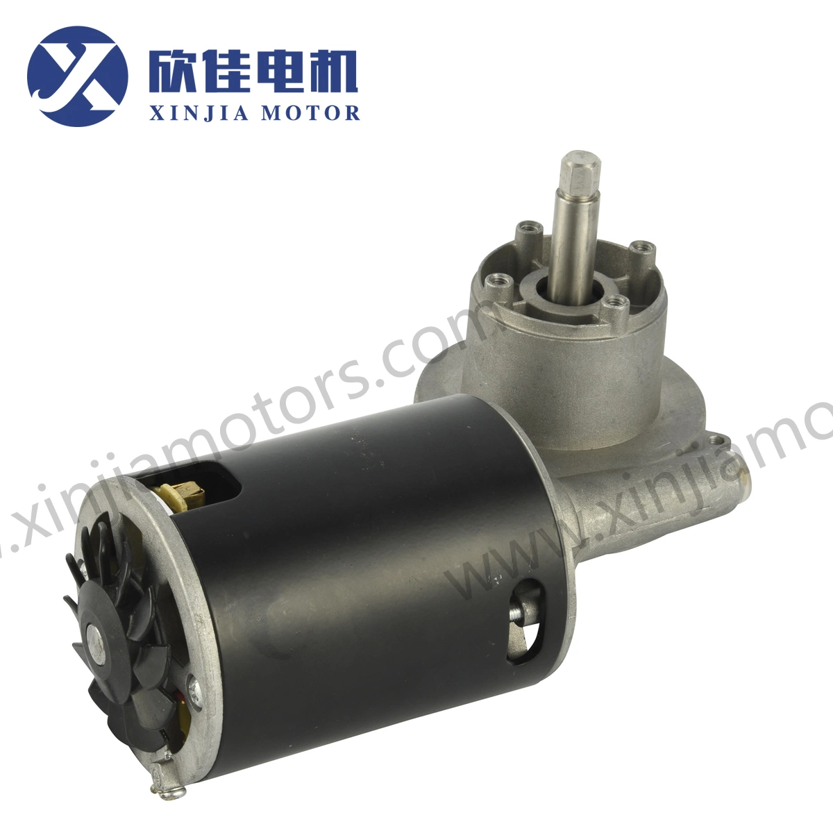 AC/DC Worm Gear Motor Dcr7832 with Magnetic Steel Sheet High Torque 120VDC 240VDC for Home Appliances