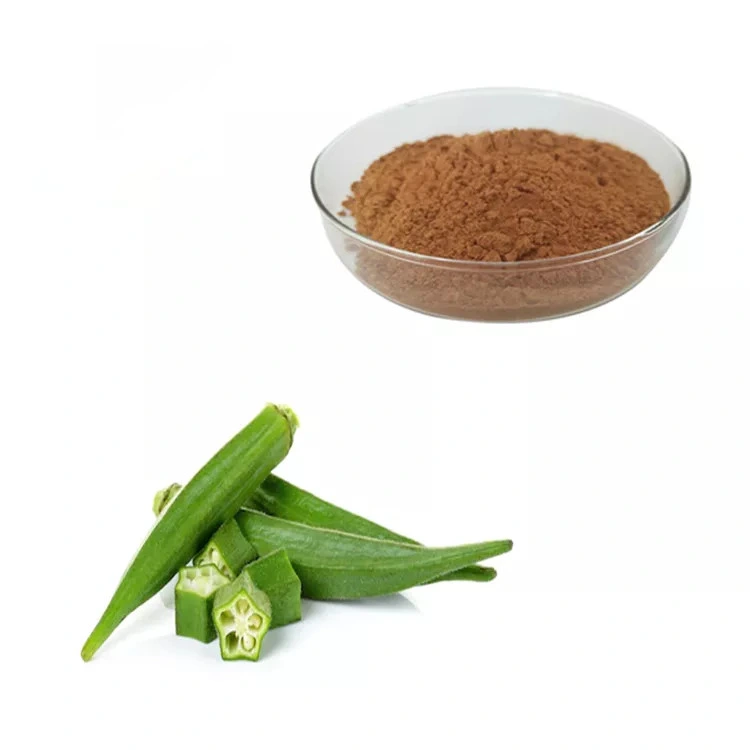 Herbal Extract Food Additives/Cosmetics Okra Seed Extract Powder 10: 1, 20: 1 Okra Extract Brown Powder Gumbo Okra Extract