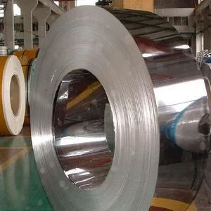 Hot Rolled 8mm Thickness 253mA Stainless Steel Sheet Plate Coil