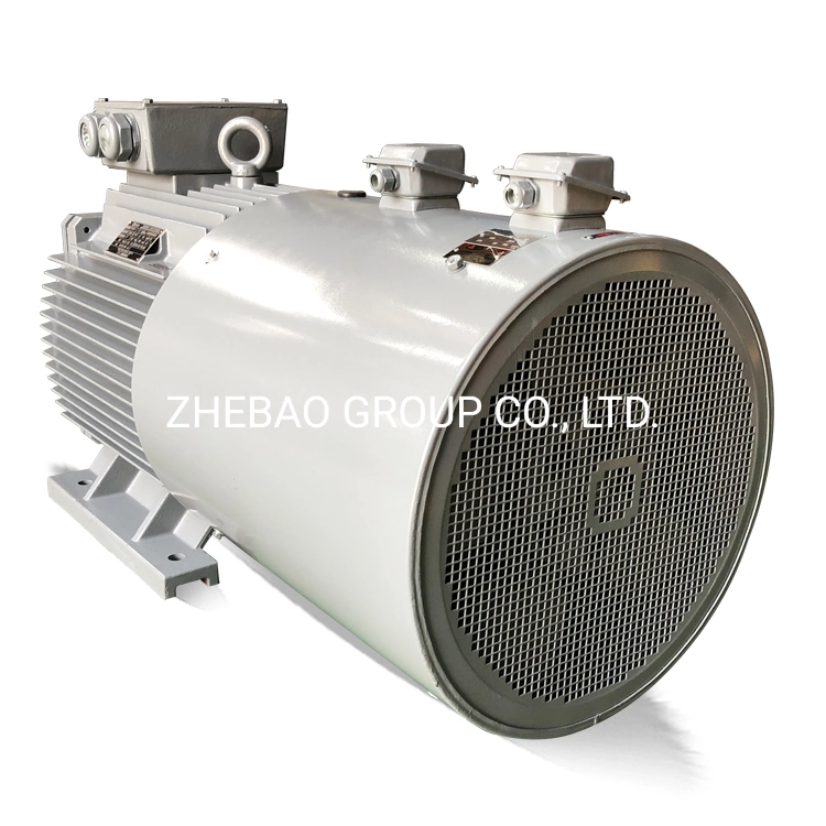 45kw Low Voltage Variable Frequency Speed Adjustable AC Induction Motor