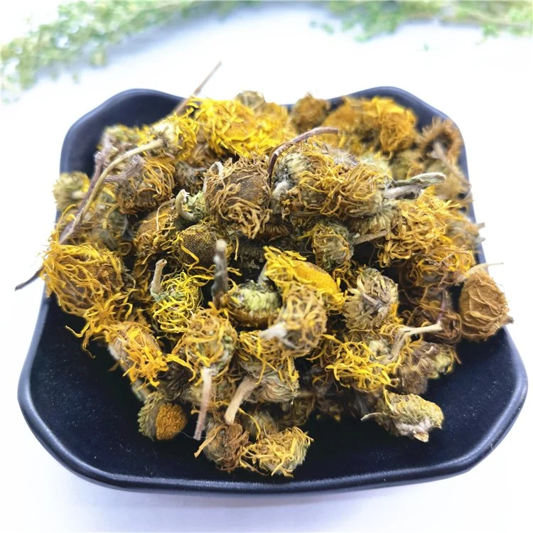 Xuan Fu Hua chinês de flores naturais Dreid Japonica Inula flores para a erva