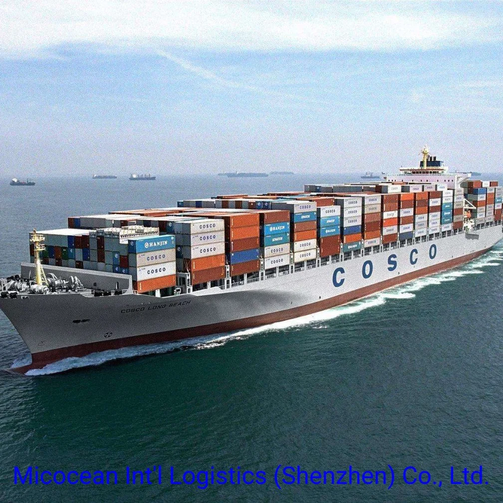 LCL FCL Container Sea Freight Shipping From Guangzhou Shanghai Zhejiang Taizhou to Italy