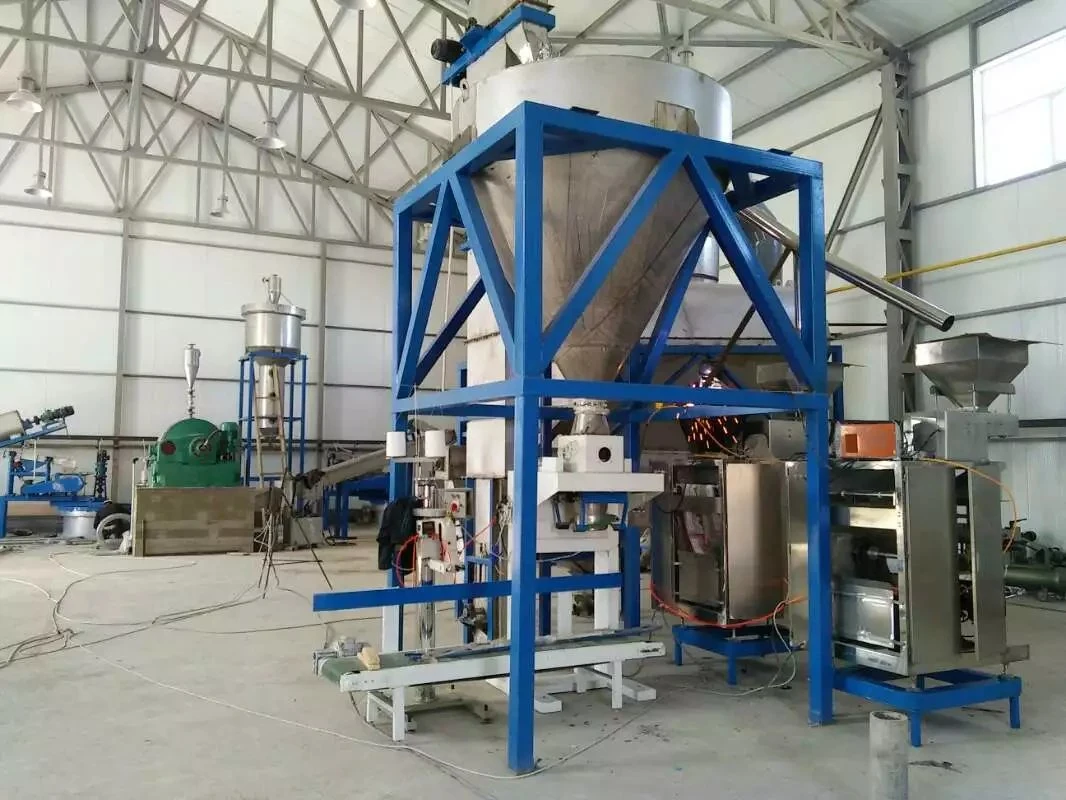 Salt Washing Production Equipment Line