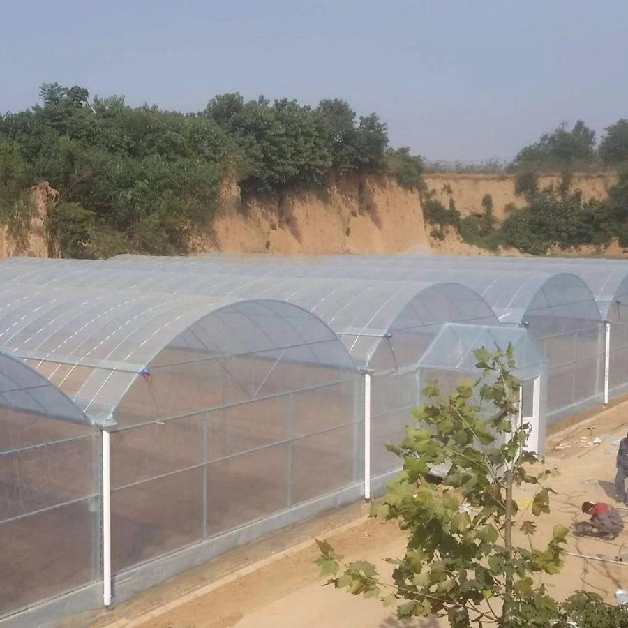 Estructura razonable túnel de plástico de la película Greenhouse con sistema hidropónico