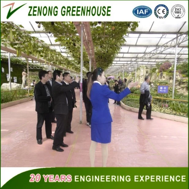 Farming/Fishing/Poultry Used Greenhouse PC Sheet Greenhouse for Exhibition Vegetables/Flowers/Tourism/Eco Restaurant with Heating System