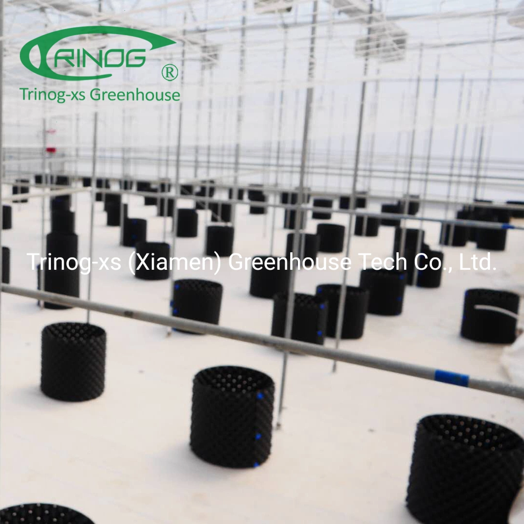 Trinog multispan agrícolas película plástica de plantas medicinais estufa com a privação de luz do sistema de sombreamento