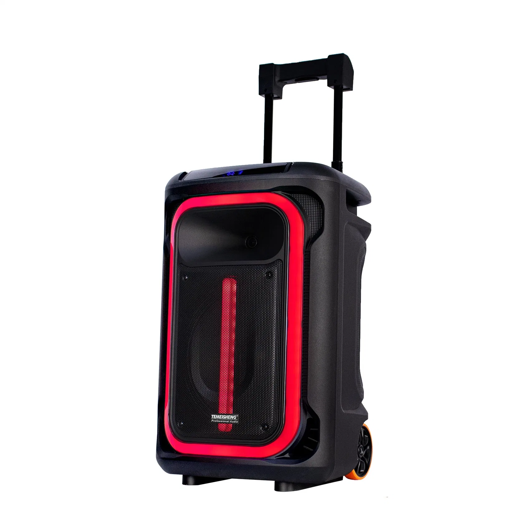 Temeisheng/Lagnting/OEM Hot Selling New Model 12inch Trolley Portable Speaker with New Style Light Active Speaker Bluetooth Speaker