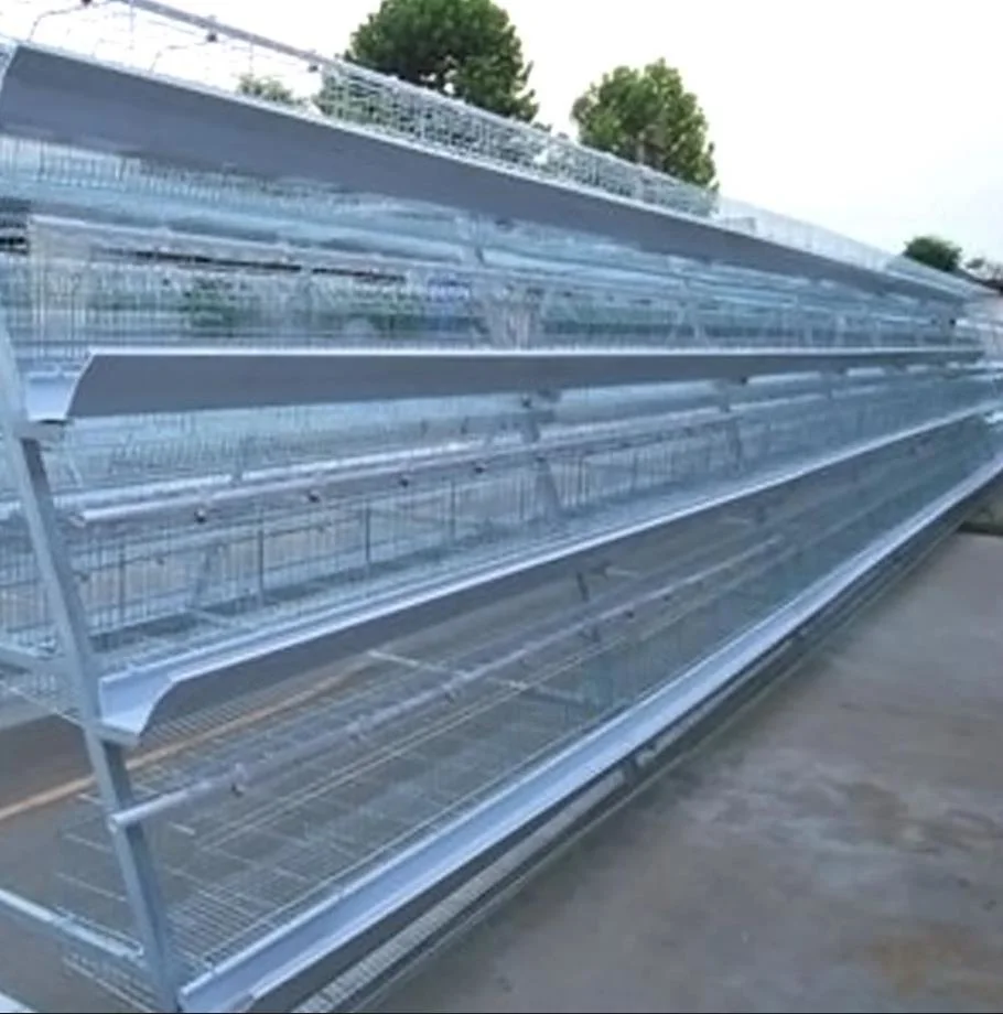 Poultry Farming Equipment/Livestock Machinery/Equipment/Hot Galvanized Automatic Chicken Farm Poultry Cage System/Battery Layer Cages for Broiler/Poultry Farm