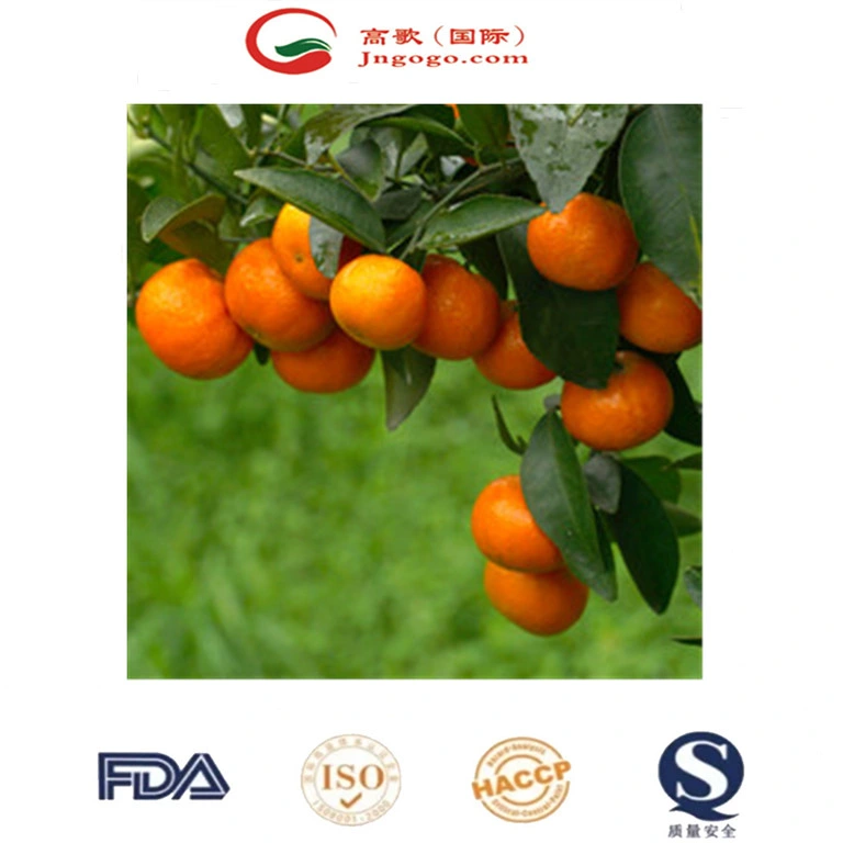 Fresh Mandarin Sweet and Super Quality Mandarin Wogan Mandarin in China