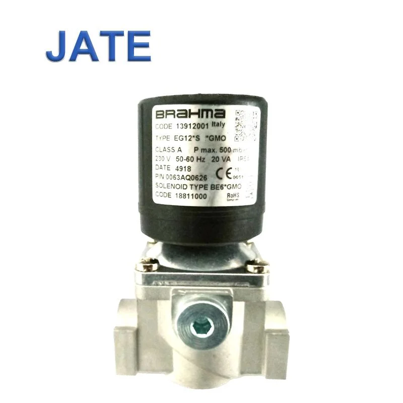 Brahma or Type Eg12 S GMO 13902001 Gas Solenoid Valve GMO Safety Solenoid Control Gas The Electromagnetic Valves for Burner Parts 220V AC