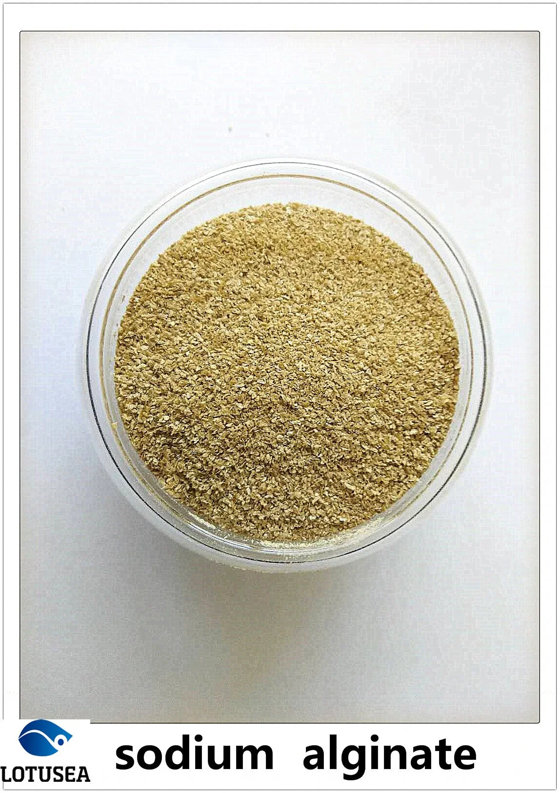 Textile Grade Sodium Alginate 500cps High quality/High cost performance 
