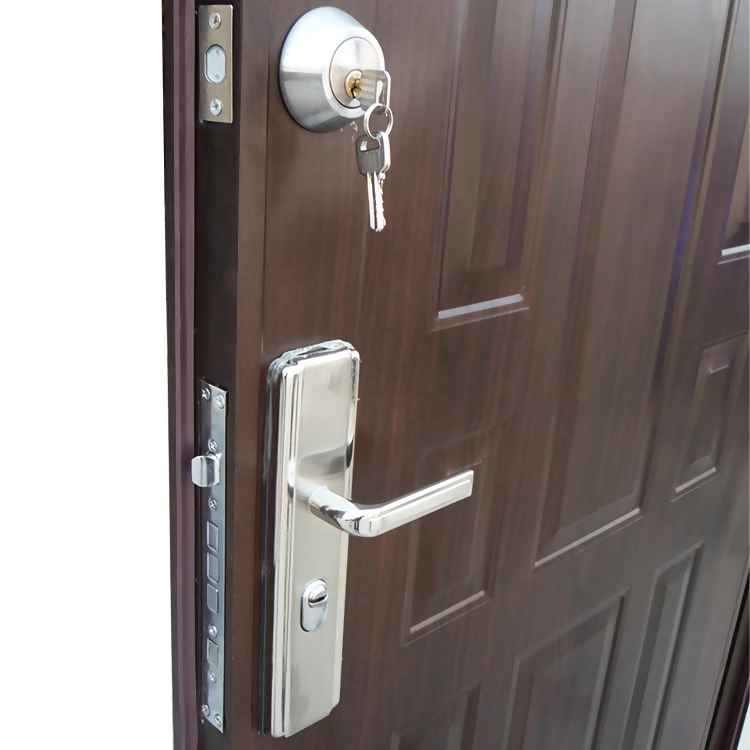 Ethiopia Exterior Steel Metal Security Doors Double Wood Finish