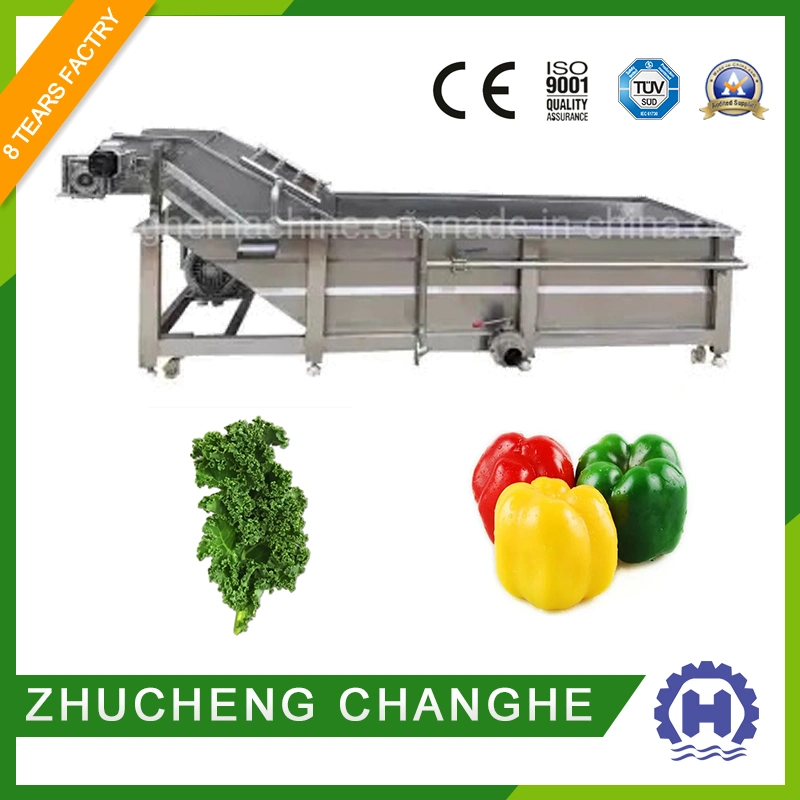 Fully Automatic Surfing Cleaning Equipment for Mountain and Wild Vegetable Processing Equipment