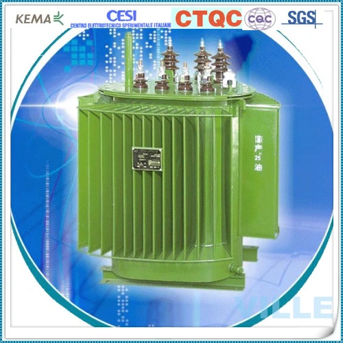 100kva 10kV Ölgetaucht dreiphasiger Transformator/Verteilungstransformator für amorphe Legierung
