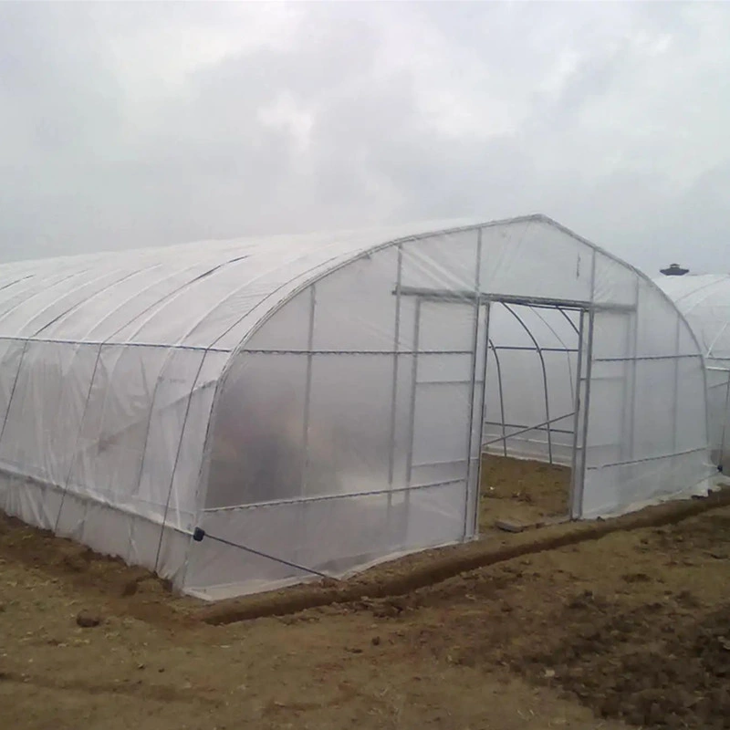 (3X8X2.7) M Polytunnel DIY Home Hobby Garden Greenhouse PVC/Film Cover